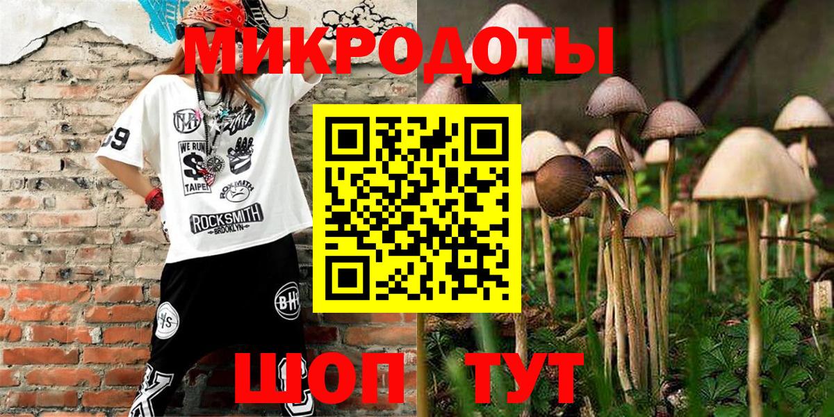 Галлюциногенные грибы Psilocybine cubensis Боровичи