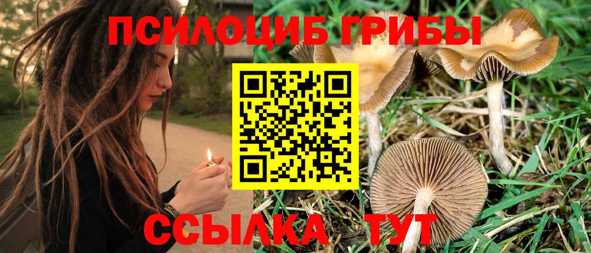 Псилоцибиновые грибы мицелий  Псилоцибиновые грибы мицелий  Вход с VPN  Боровичи 